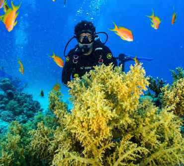  Advanced Open Water Diver Kurs (AOWD)