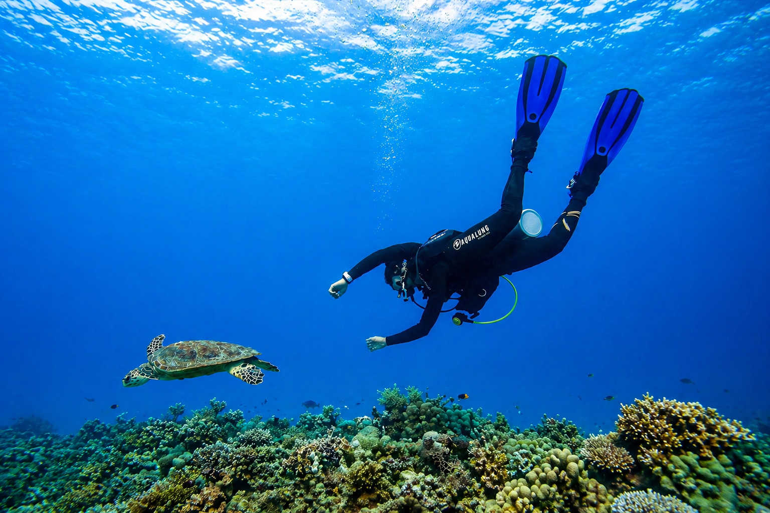 PADI-SSI Scuba Diver Kurs