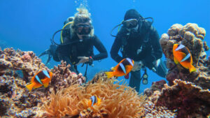 Scuba Diver